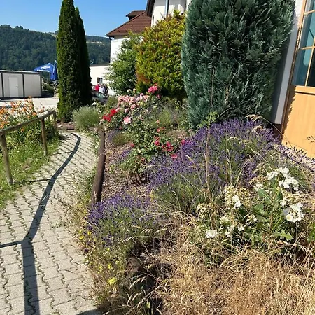 Little Ii Fuehl Dich Zuhause *